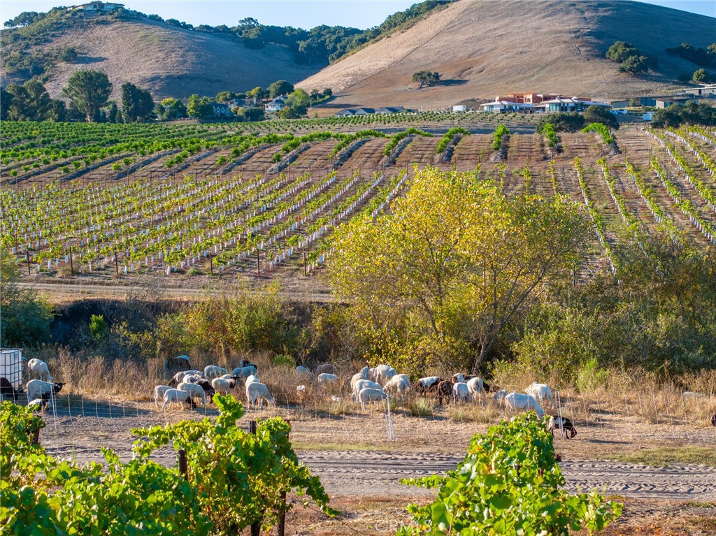 5502 Los Ranchos Rd, San Luis Obispo, CA 93401