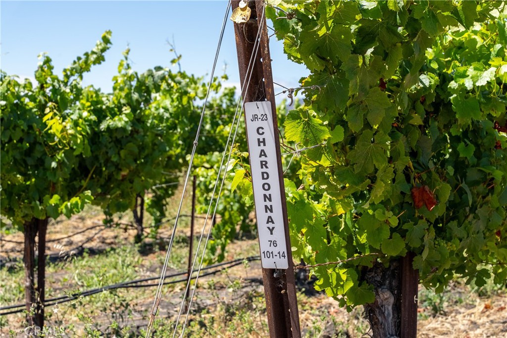 5502 Los Ranchos Rd, San Luis Obispo, CA 93401