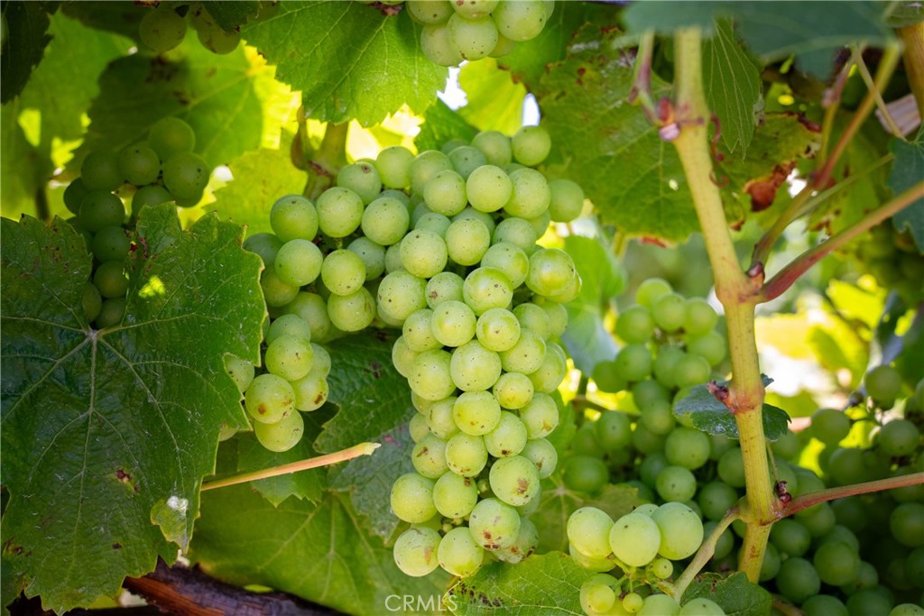 5502 Los Ranchos Rd, San Luis Obispo, CA 93401