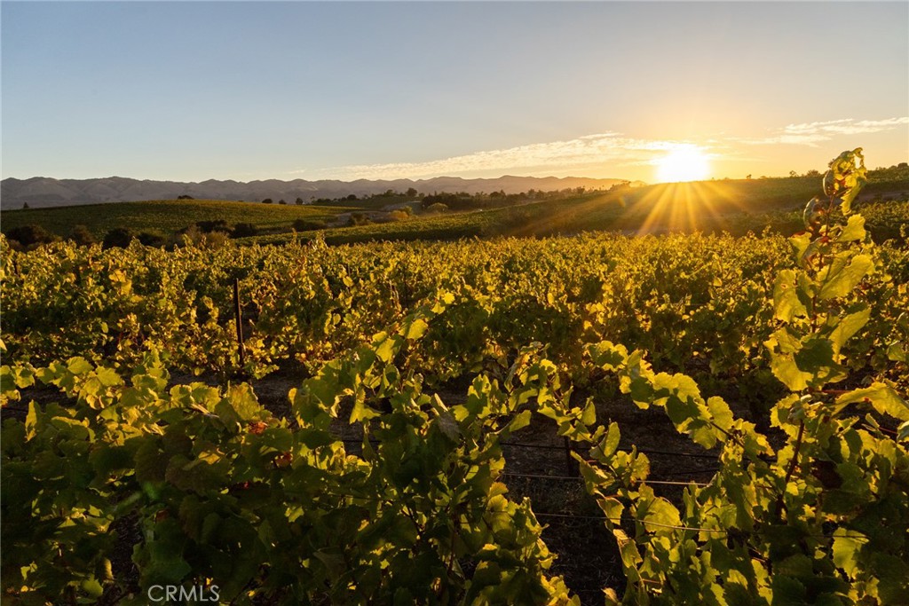 5502 Los Ranchos Rd, San Luis Obispo, CA 93401