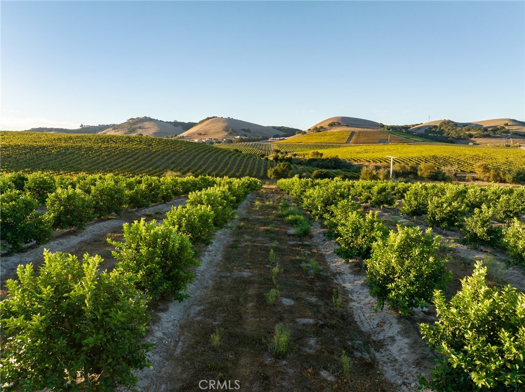 5502 Los Ranchos Rd, San Luis Obispo, CA 93401