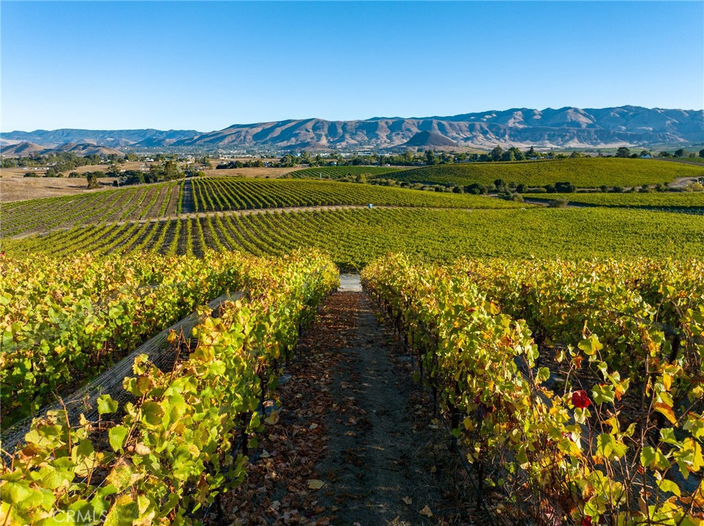 5502 Los Ranchos Rd, San Luis Obispo, CA 93401