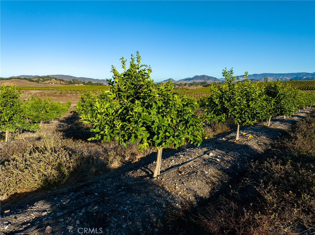 5502 Los Ranchos Rd, San Luis Obispo, CA 93401