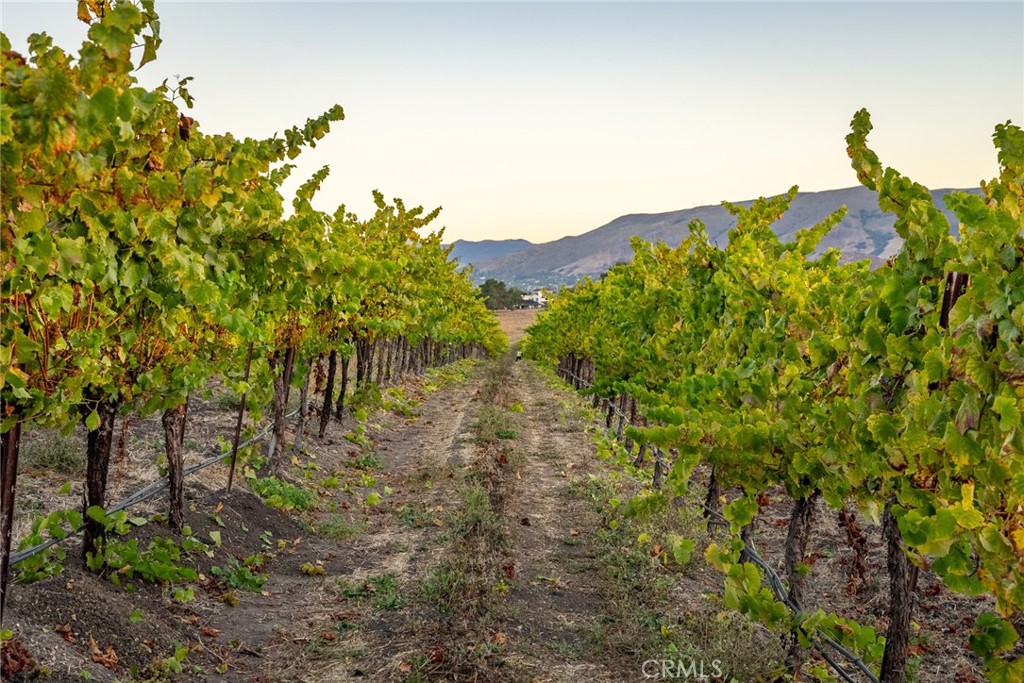 5502 Los Ranchos Rd, San Luis Obispo, CA 93401