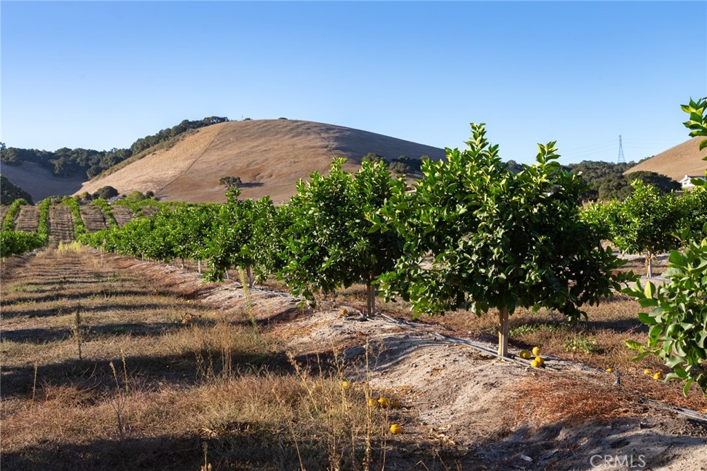 5502 Los Ranchos Rd, San Luis Obispo, CA 93401