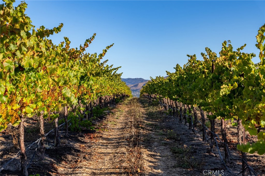 5502 Los Ranchos Rd, San Luis Obispo, CA 93401