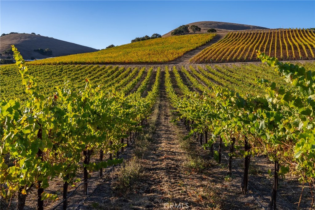 5502 Los Ranchos Rd, San Luis Obispo, CA 93401