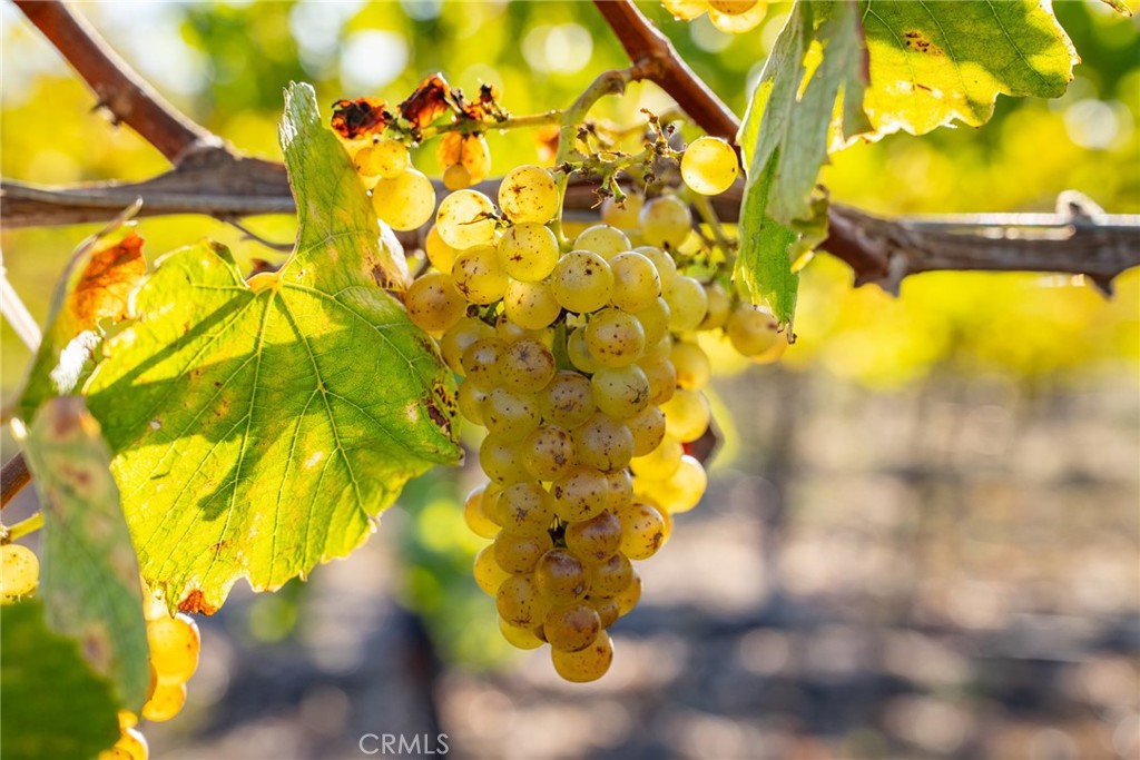 5502 Los Ranchos Rd, San Luis Obispo, CA 93401