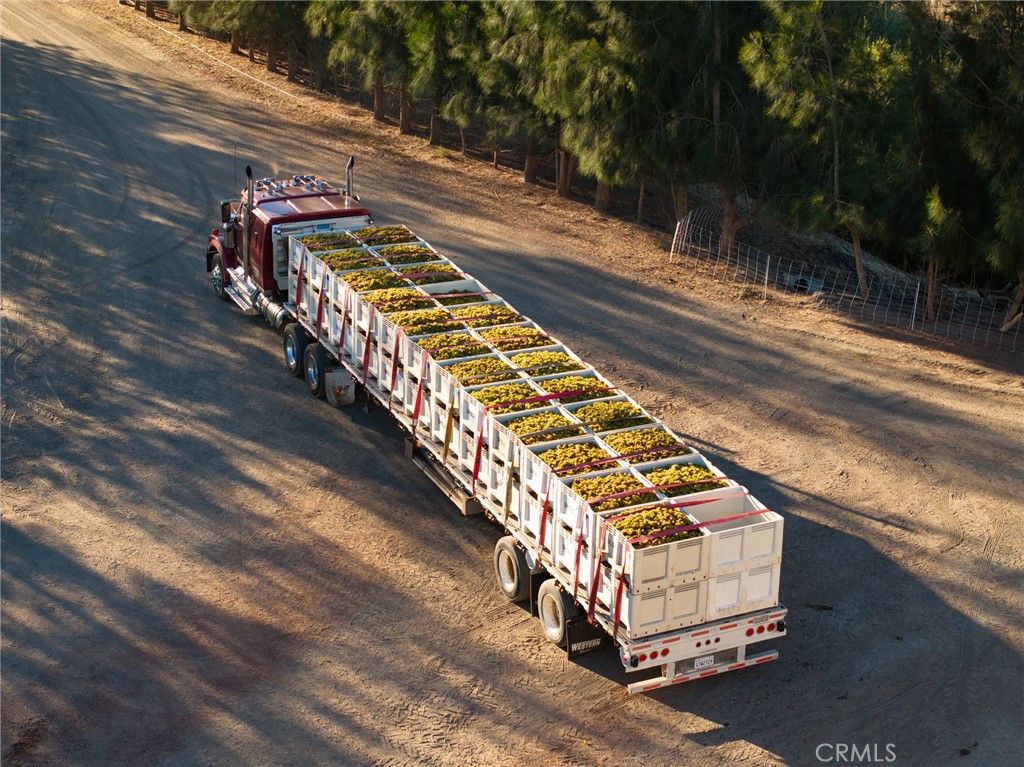 5502 Los Ranchos Rd, San Luis Obispo, CA 93401