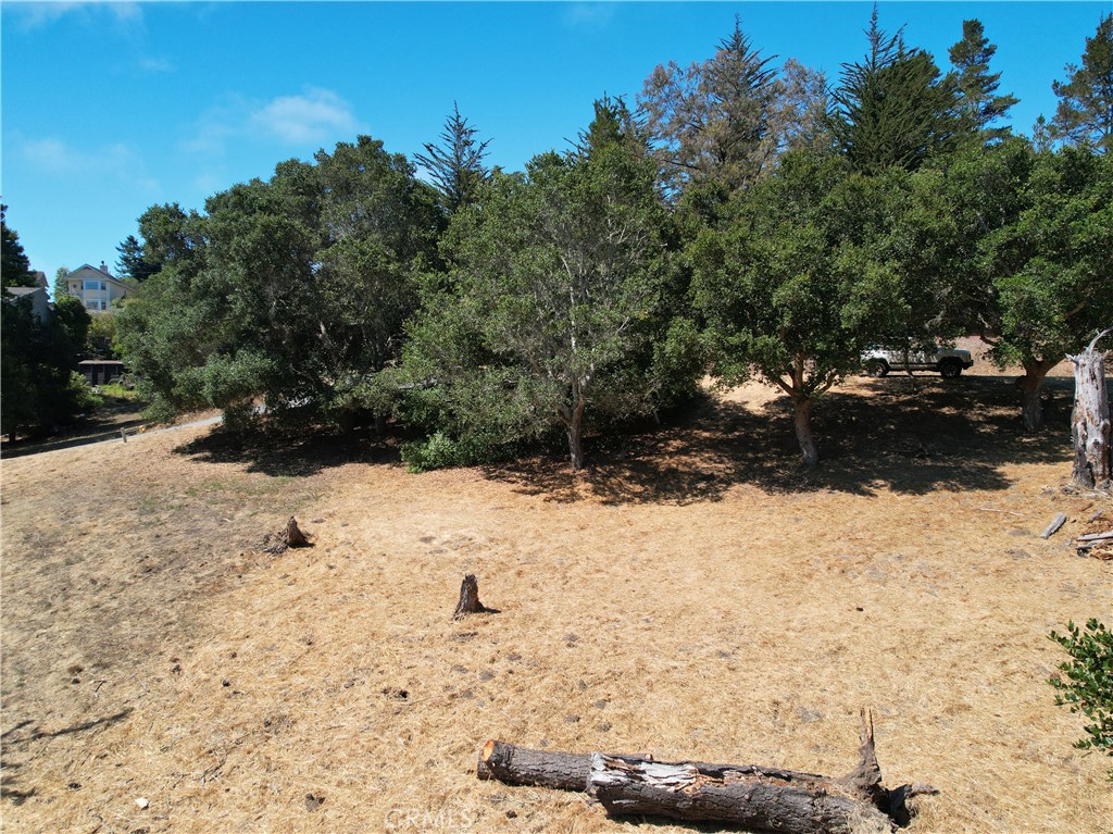 0 Londonderry Ln, Cambria, CA 93428