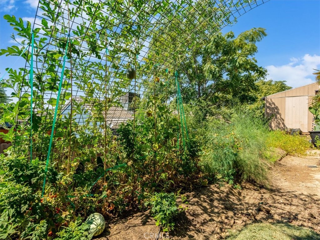 104 W Mariposa St, Avenal, CA 93204