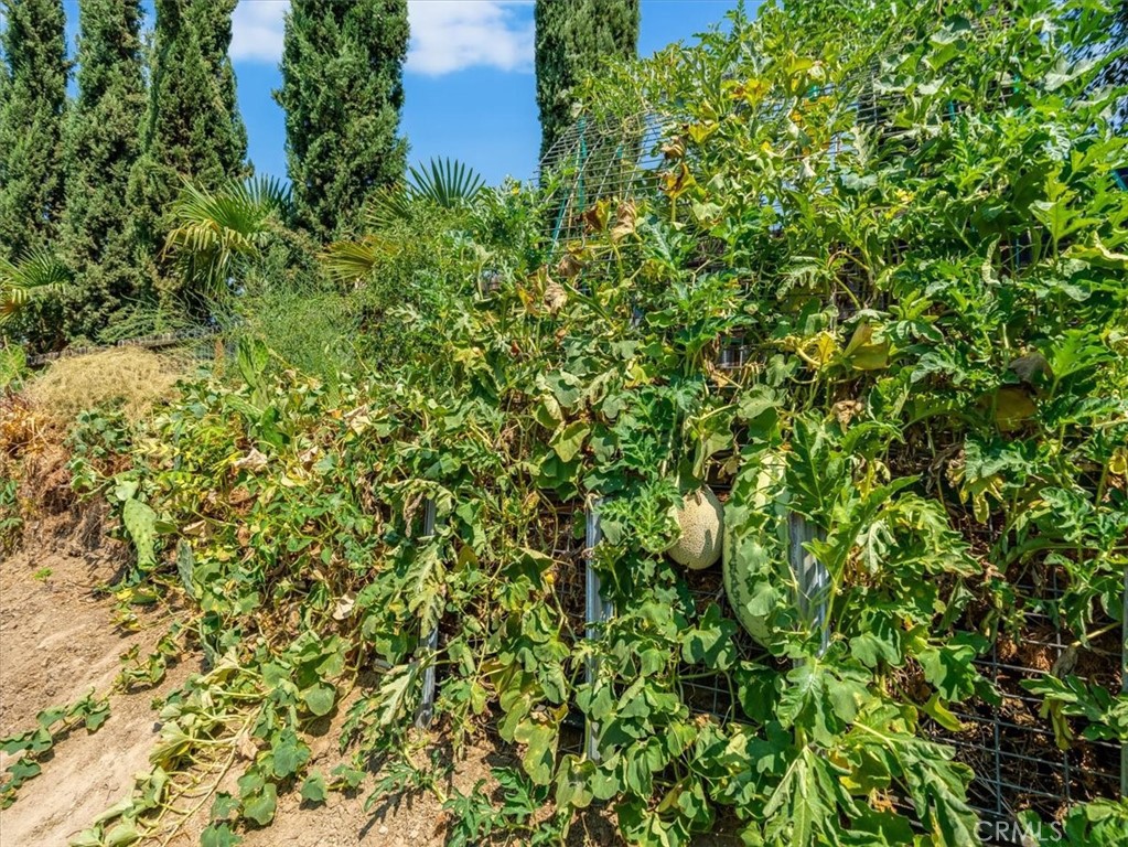 104 W Mariposa St, Avenal, CA 93204