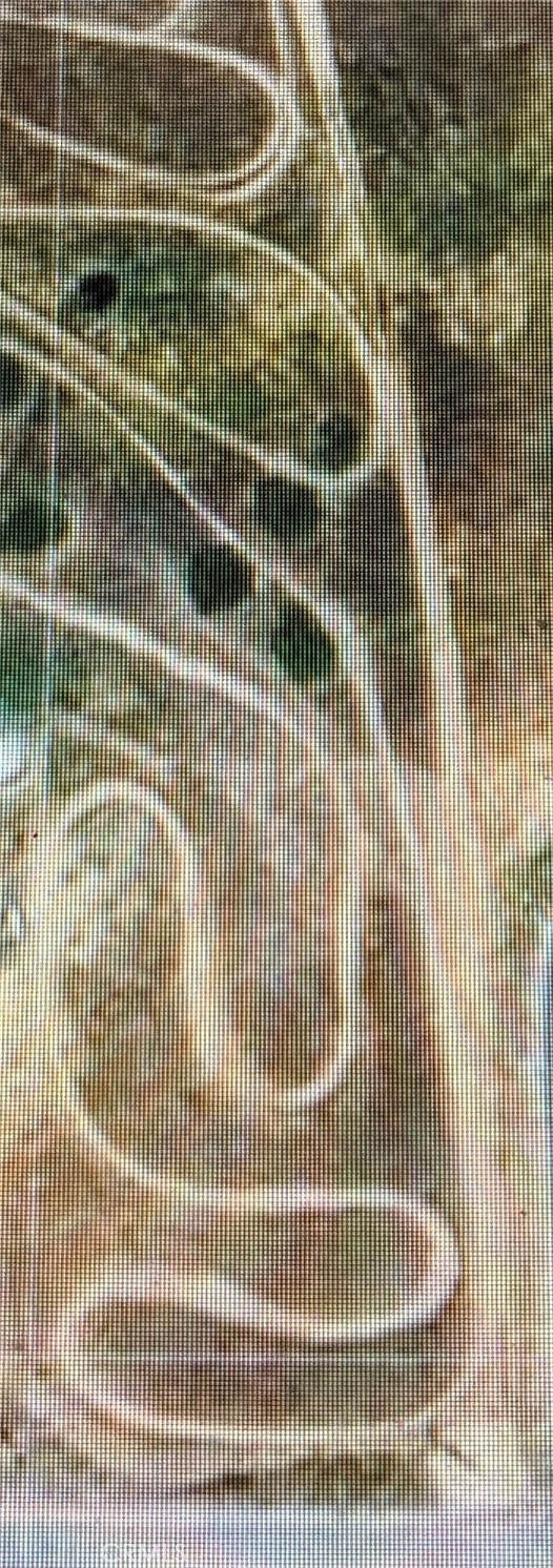 0 Black Tail Pl, Paso Robles, CA 93446