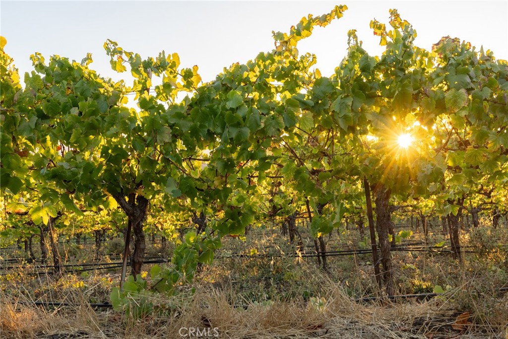 5502 Los Ranchos Rd, San Luis Obispo, CA 93401