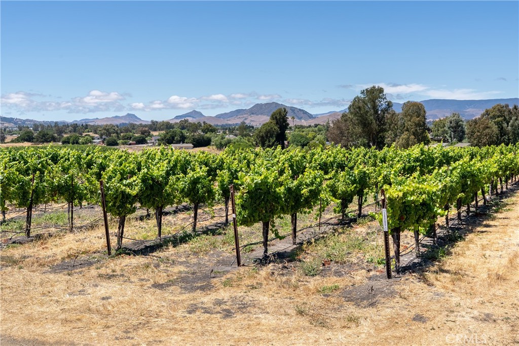 5502 Los Ranchos Rd, San Luis Obispo, CA 93401