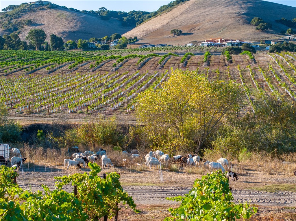 5502 Los Ranchos Rd, San Luis Obispo, CA 93401