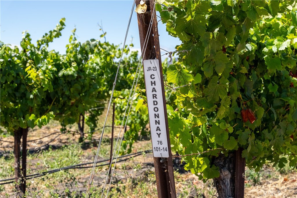 5502 Los Ranchos Rd, San Luis Obispo, CA 93401