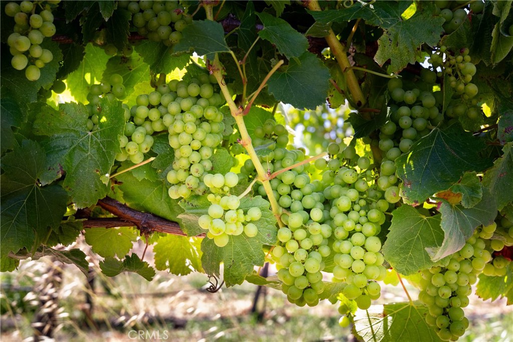 5502 Los Ranchos Rd, San Luis Obispo, CA 93401