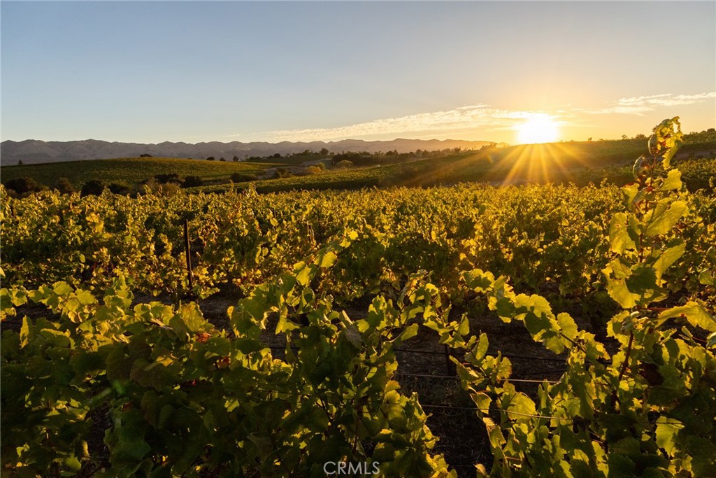 5502 Los Ranchos Rd, San Luis Obispo, CA 93401