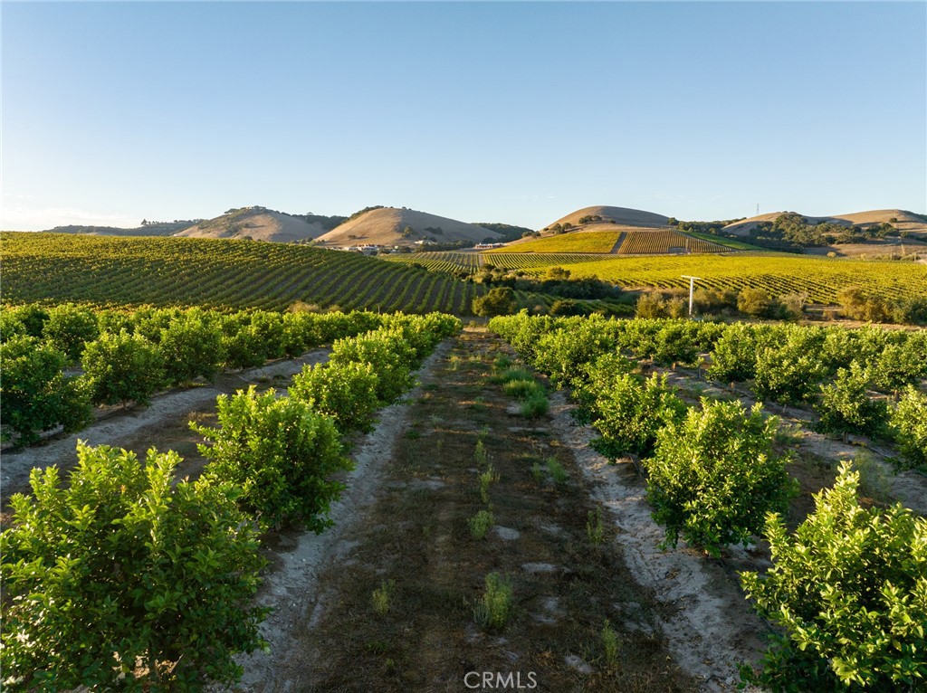 5502 Los Ranchos Rd, San Luis Obispo, CA 93401