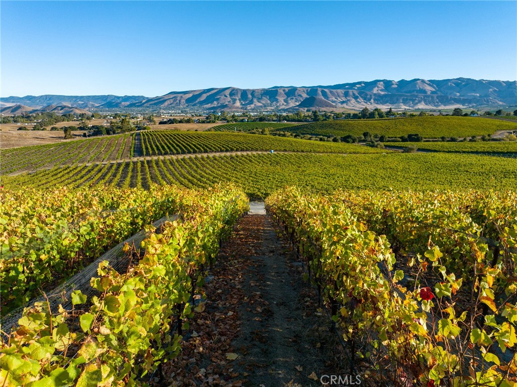 5502 Los Ranchos Rd, San Luis Obispo, CA 93401