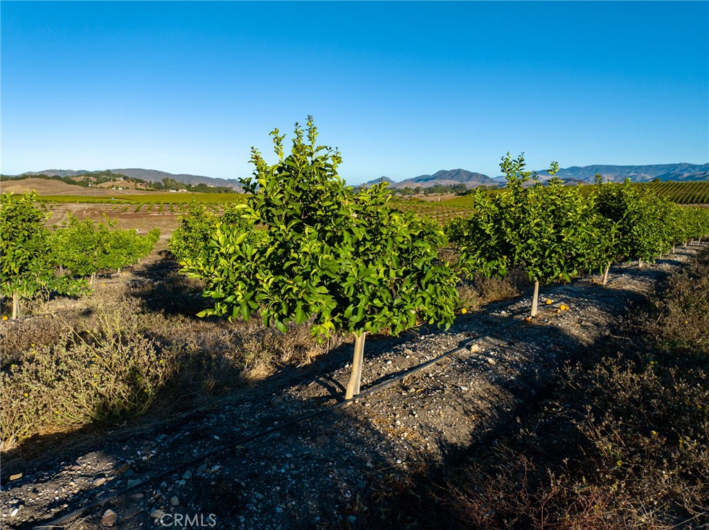 5502 Los Ranchos Rd, San Luis Obispo, CA 93401