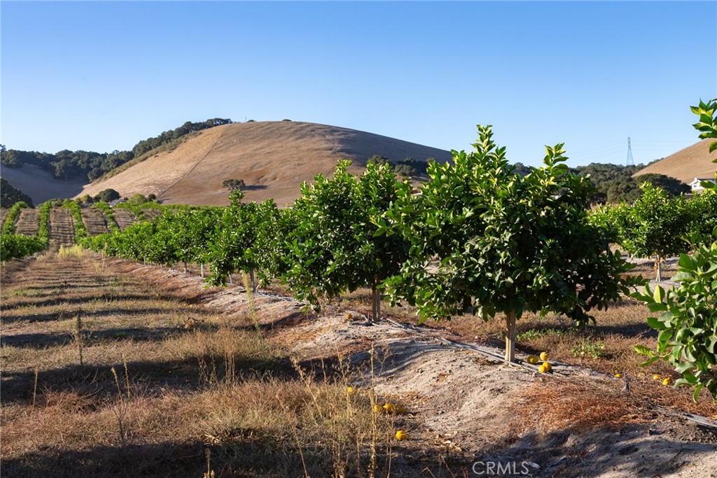 5502 Los Ranchos Rd, San Luis Obispo, CA 93401