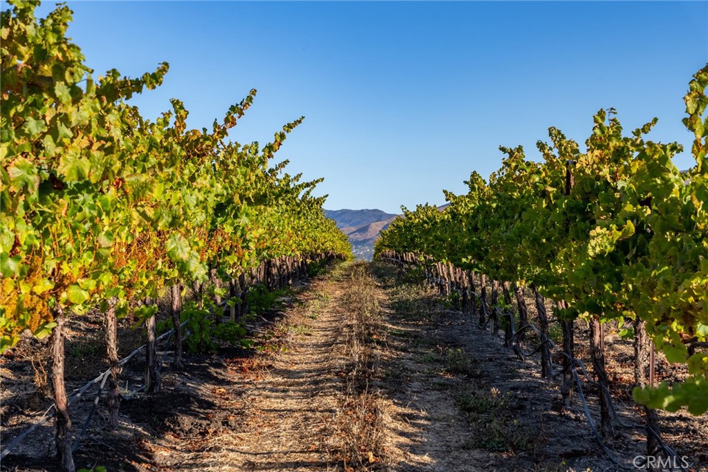 5502 Los Ranchos Rd, San Luis Obispo, CA 93401