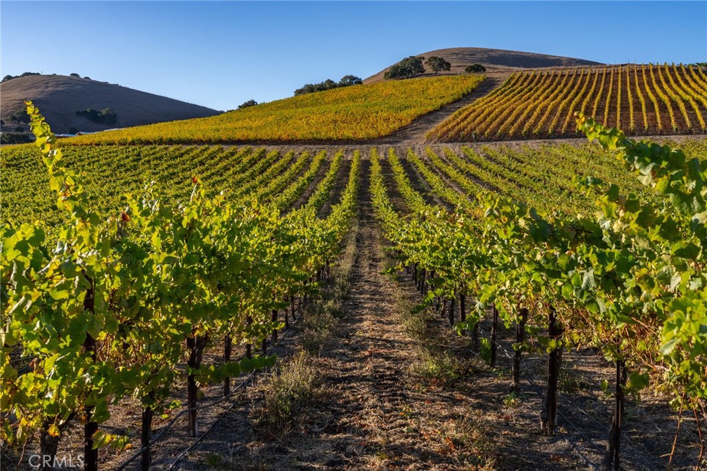 5502 Los Ranchos Rd, San Luis Obispo, CA 93401