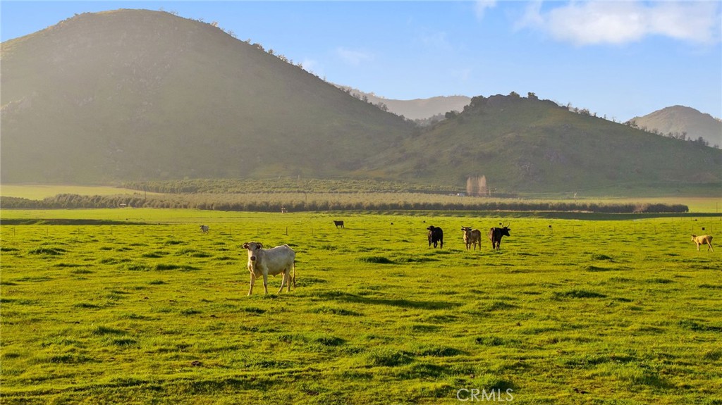 19400 398, Woodlake, CA 93286