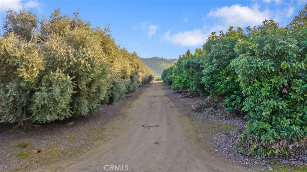 19400 398, Woodlake, CA 93286