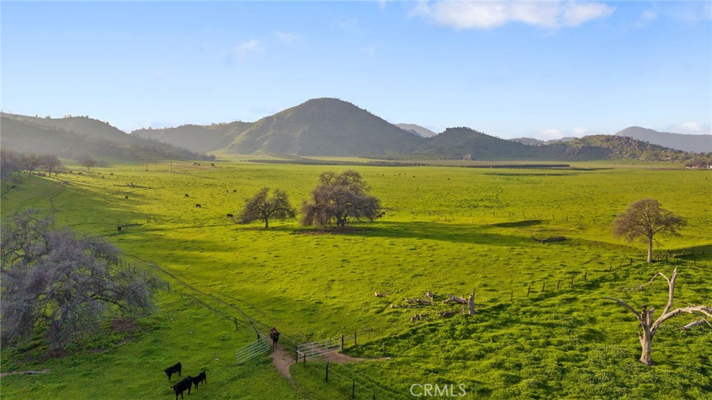 19400 398, Woodlake, CA 93286