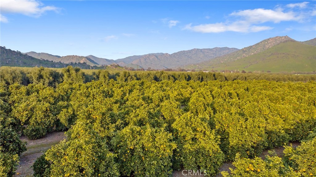 19400 398, Woodlake, CA 93286