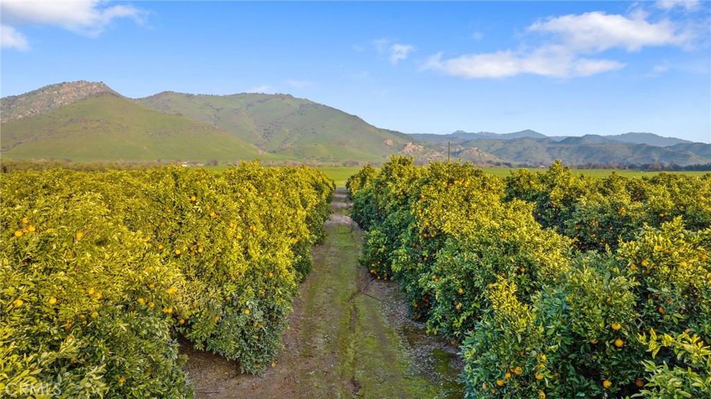 19400 398, Woodlake, CA 93286