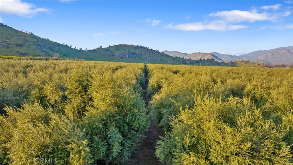 19400 398, Woodlake, CA 93286