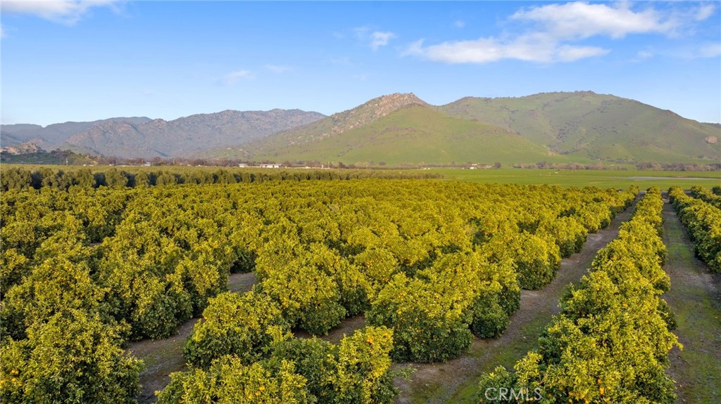 19400 398, Woodlake, CA 93286