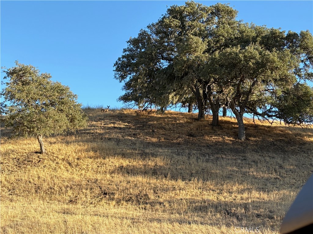 2495 Maverick Way, Paso Robles, CA 93446