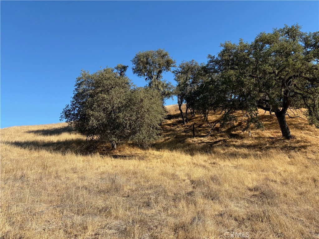 2495 Maverick Way, Paso Robles, CA 93446