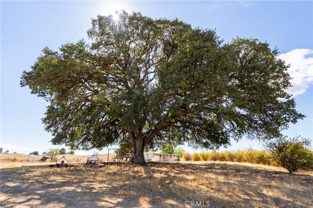 27 Wellsona Rd, Paso Robles, CA 93446