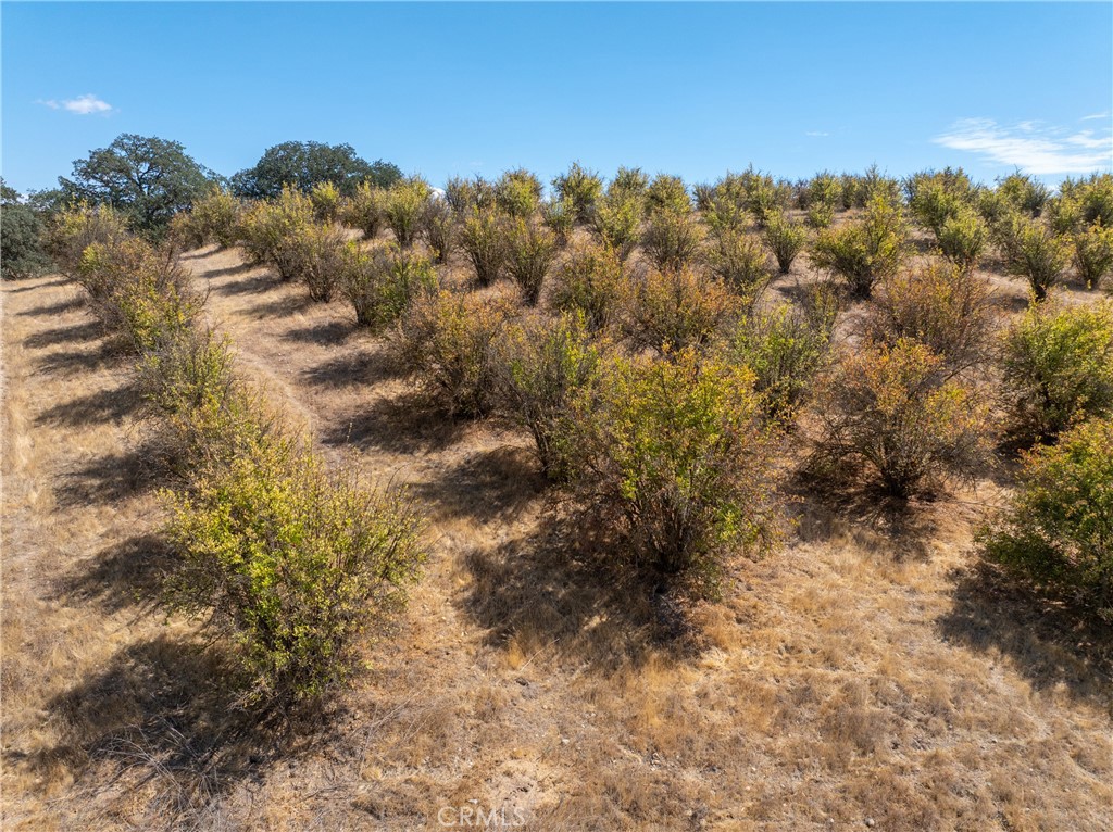27 Wellsona Rd, Paso Robles, CA 93446