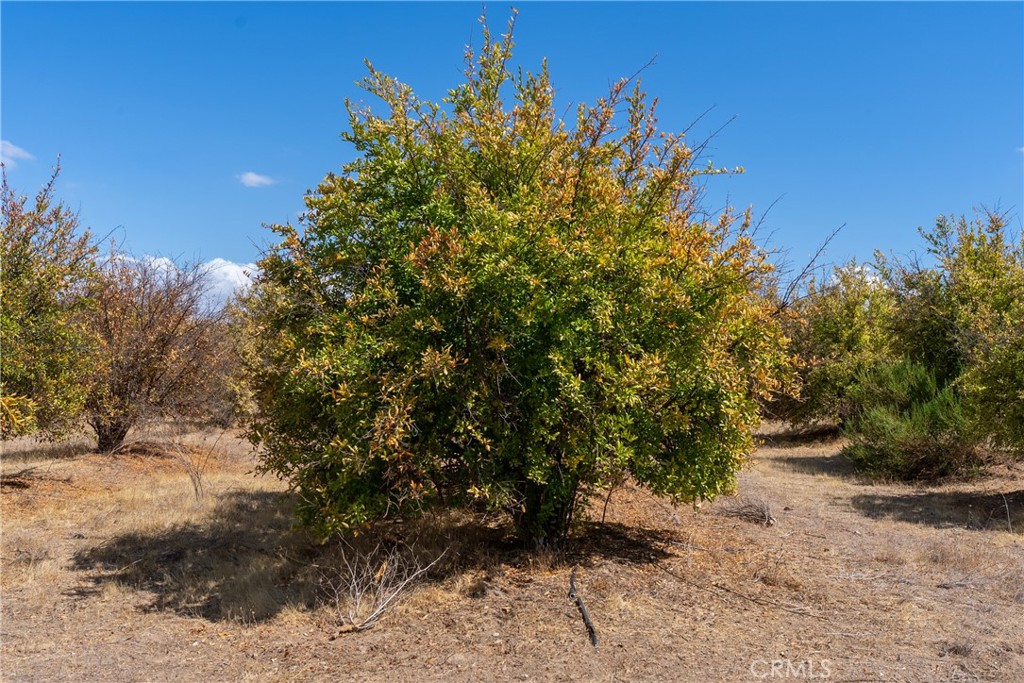 27 Wellsona Rd, Paso Robles, CA 93446