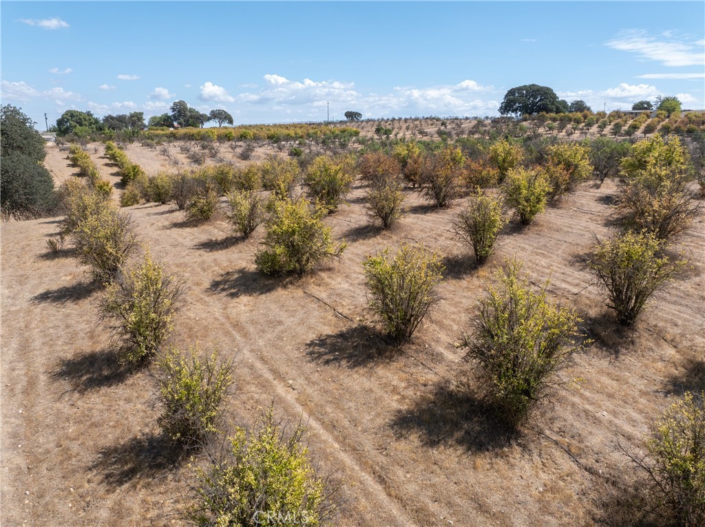 27 Wellsona Rd, Paso Robles, CA 93446