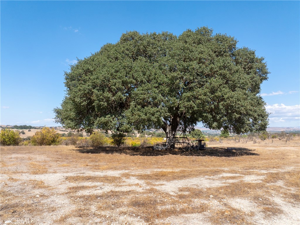 27 Wellsona Rd, Paso Robles, CA 93446