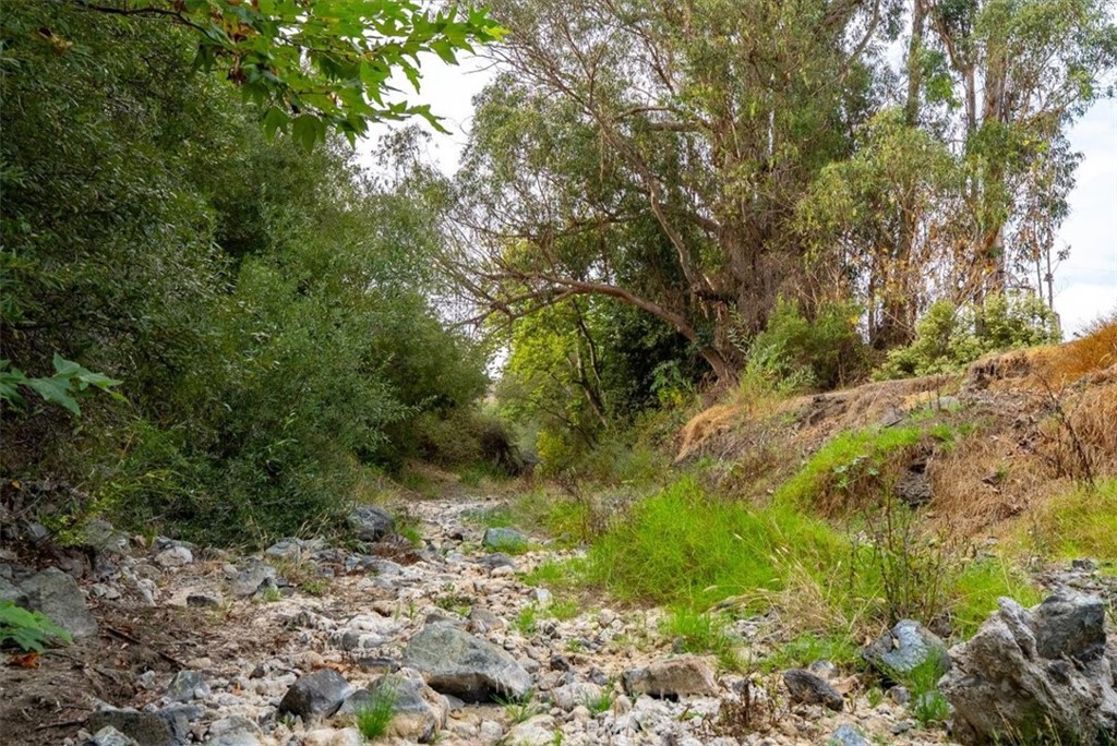 1155 Cayucos Creek Rd, Cayucos, CA 93430