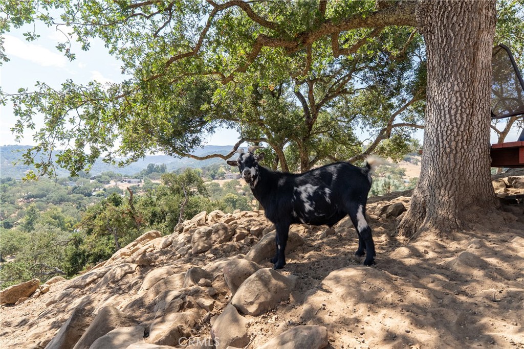 7215 San Gabriel, Atascadero, CA 93422