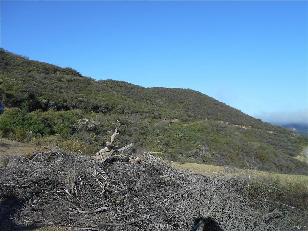 14105 County Kerry Ln, Atascadero, CA 93422