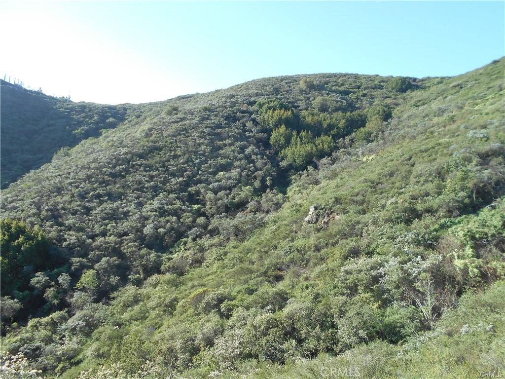 14105 County Kerry Ln, Atascadero, CA 93422