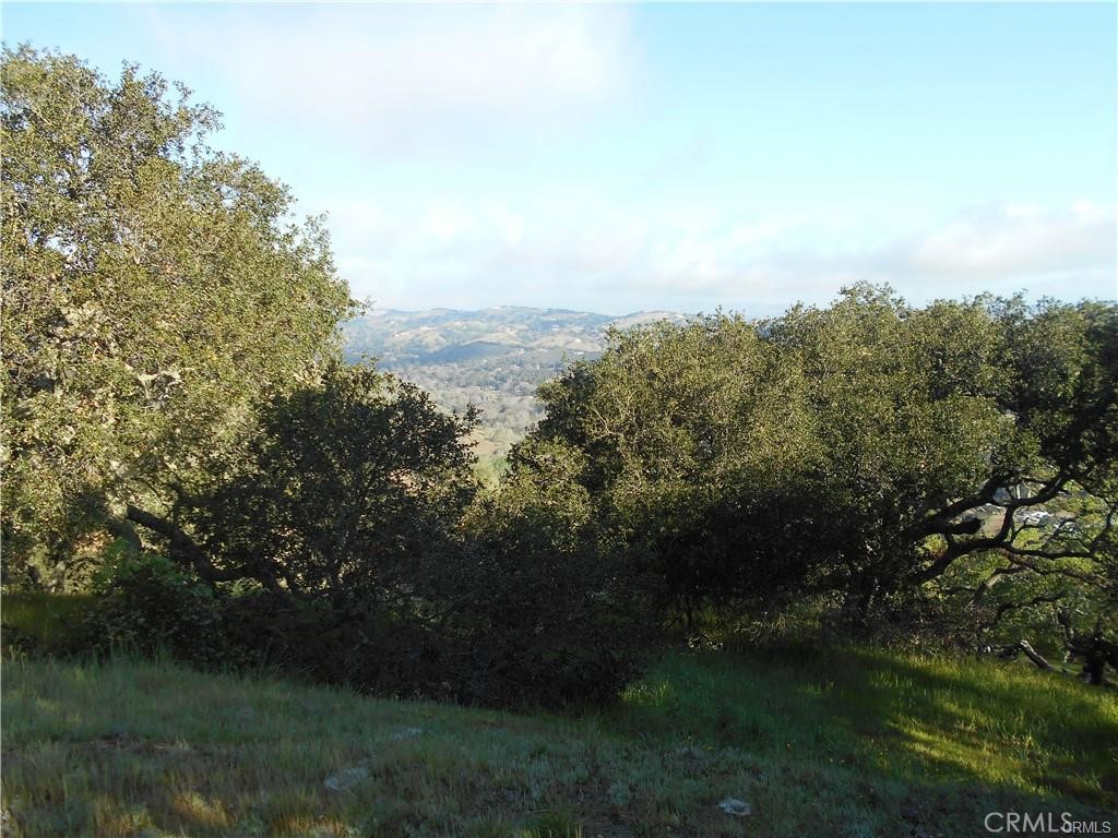 11800 San Marcos Rd, Atascadero, CA 93422