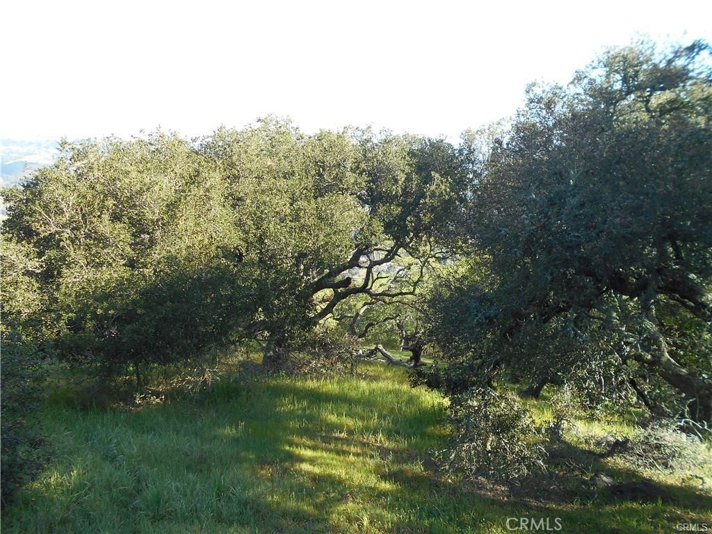 11800 San Marcos Rd, Atascadero, CA 93422