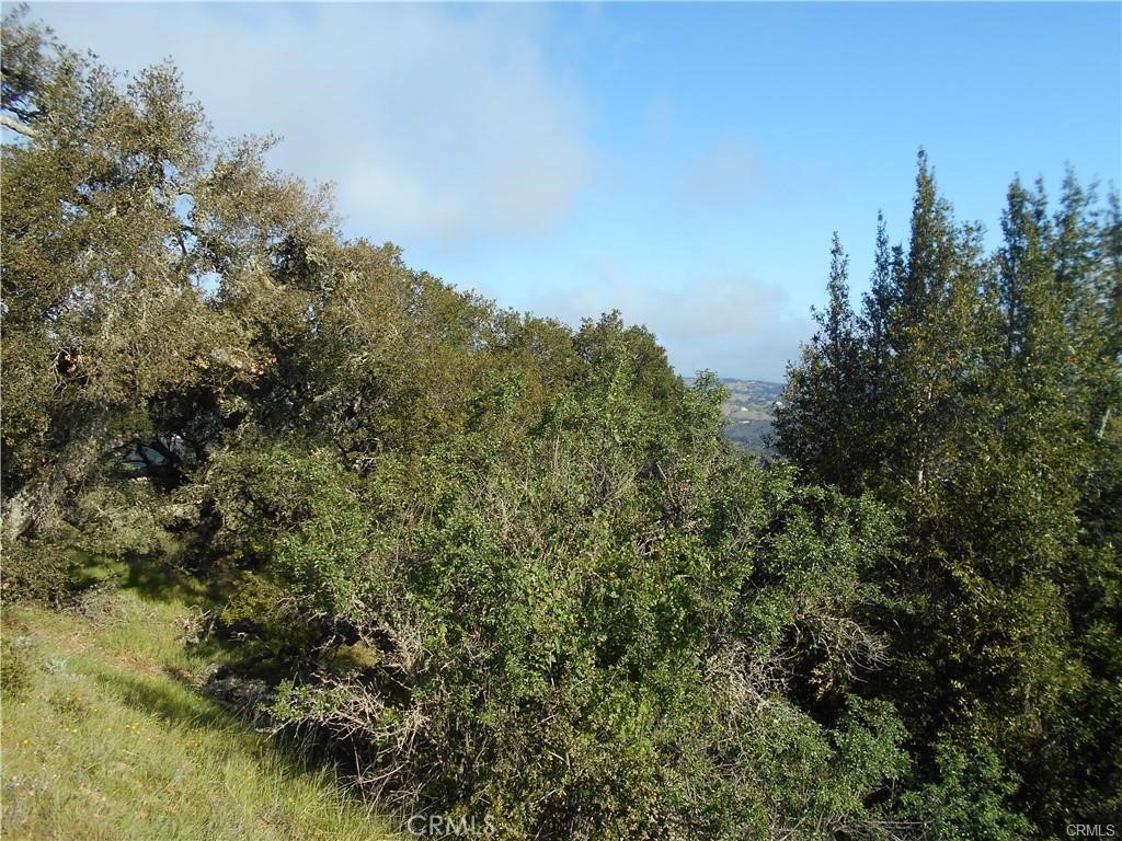 11800 San Marcos Rd, Atascadero, CA 93422